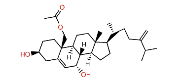 Erectasteroid F